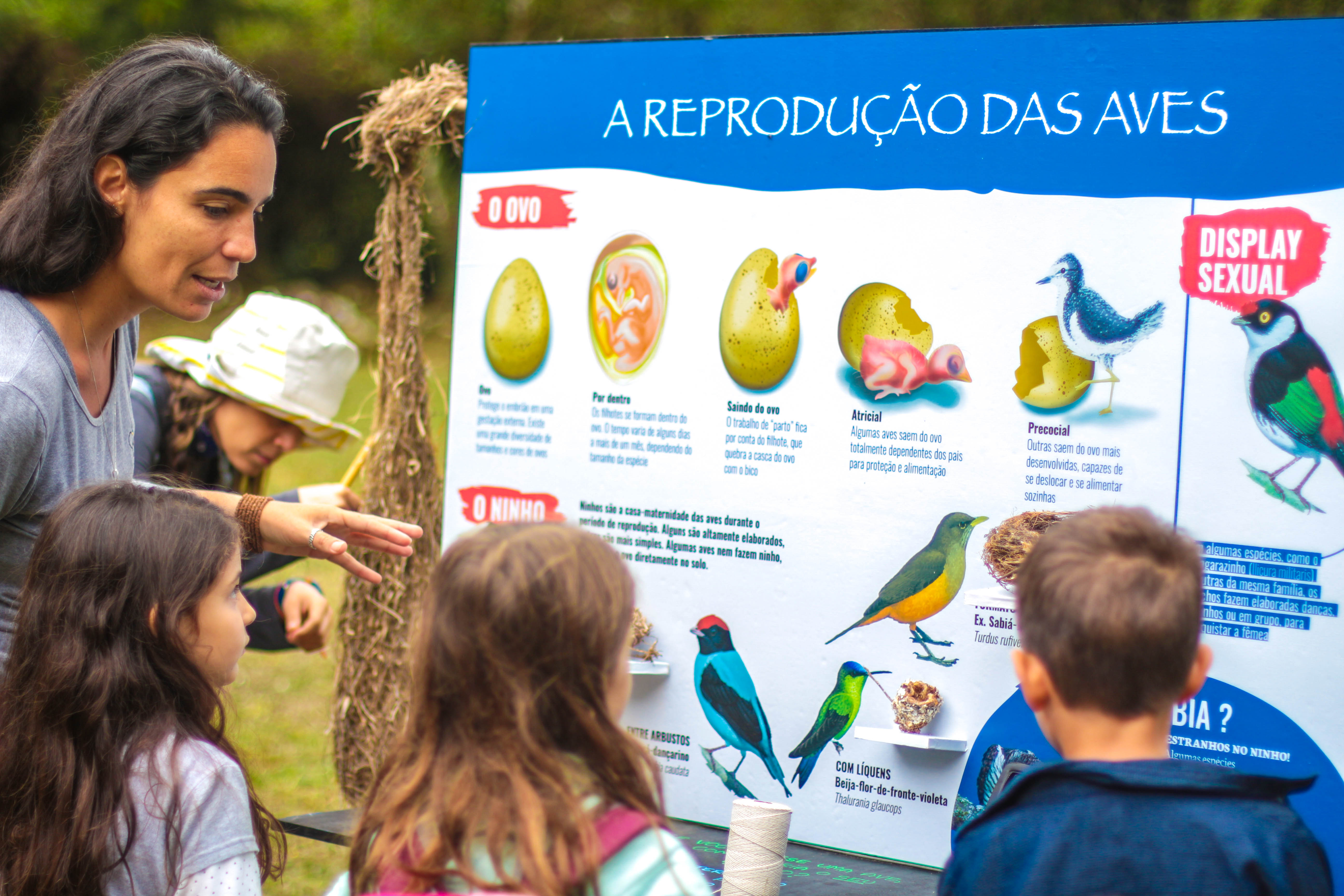 Pesquisadora apresentando informações sobre aves para 3 crianças